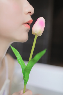 www色